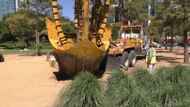 Houston tree planting Хьюстон посадка дерева смотреть онлайн