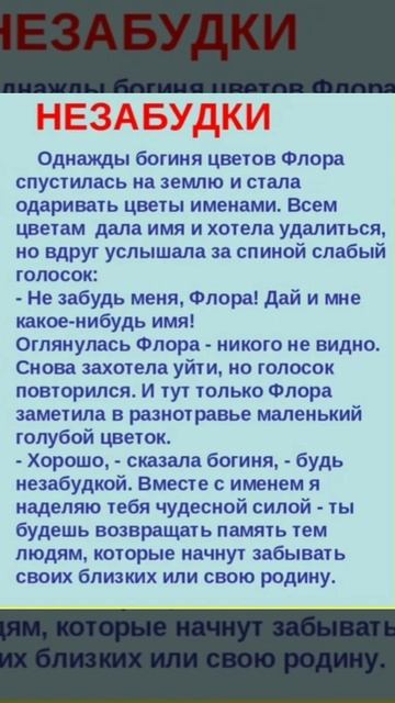Незабудки🦋✌ смотреть онлайн