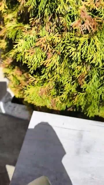 PDC долото 151мм #pdc #бурение #долото смотреть онлайн