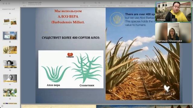 Почему мы выбираем Алоэ Вера гель Форевер? Ответы на в? смотреть онлайн