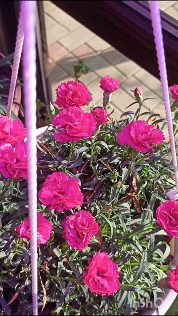 Всех девочек, девушек, женщин, мамочек и бабушек с днём смотреть онлайн