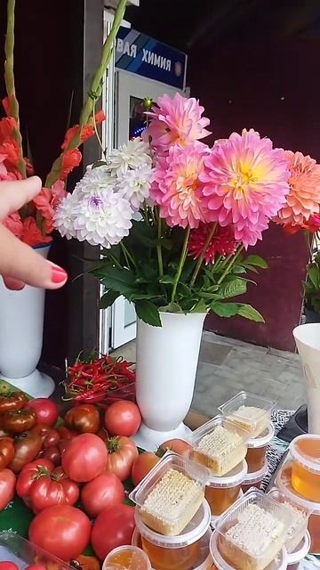 Рынок, гладиолусы, цинии, георгины 30.08 что в какую цену смотреть онлайн