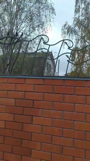 Законченный результат забора