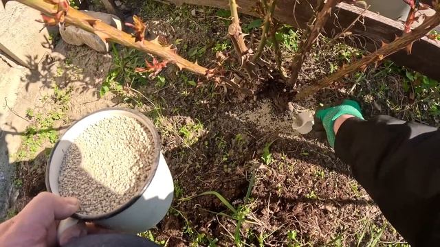 ползаю НА КОЛЕНЯХ перед этими красотками // доделал вч? смотреть онлайн