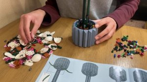 Сборка и обзор конструктора Орхидея (аналог Lego с AliExpress