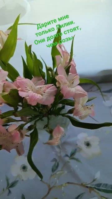 #лилияfloret#лилии#хочуврек #увеличениепродаж #цветыдляд смотреть онлайн