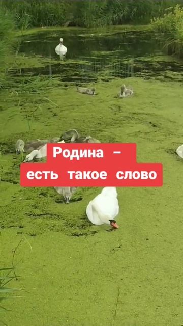 Есть такое слово - Родина смотреть онлайн