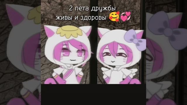 вот что значит отправиться на Мальдивы одному💥 смотреть онлайн