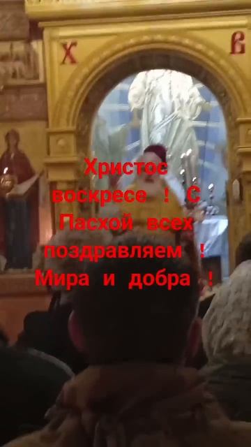 С Воскресением Христовым! #пасха #вераидуховность #Бог смотреть онлайн