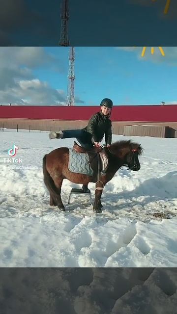 За время посадки лошадка могла подрасти смотреть онлайн