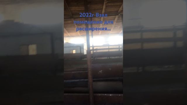 Откорм бычков. Расширяемся и машем! смотреть онлайн