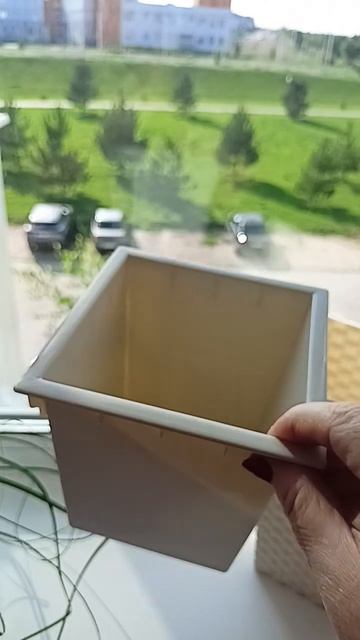 Нолина Бакарнея любит красивое кашпо 🥰🌹 смотреть онлайн