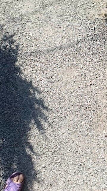 Это не грязь, это загар😅 #лето #грязь #загар #ноги #огор смотреть онлайн