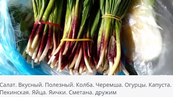 Салат. Колба. С черемшой. Полезный салат. Рецепт приготовления. Вареные яйца, колба, огурцы, соус смотреть онлайн