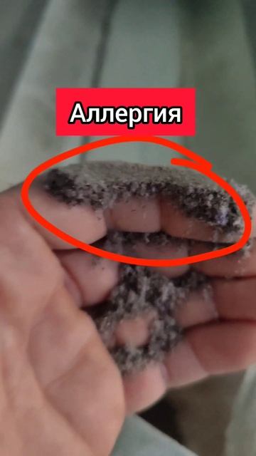 Лавандовый цветок очищаем от пыли, стебля и листьев. #л смотреть онлайн