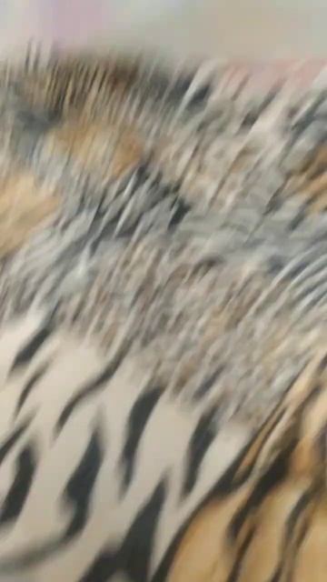 мой фиолетовый радужный друг смотреть онлайн