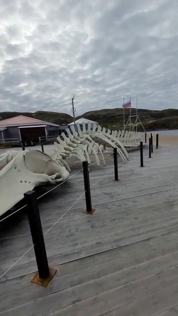 Териберка. Село в Кольском районе Мурманской области. смотреть онлайн