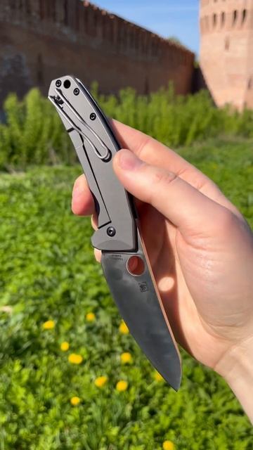 Нож Spyderco SpydieChef C211TIP #knife #everydaycarry #edc #outdoors #blade смотреть онлайн