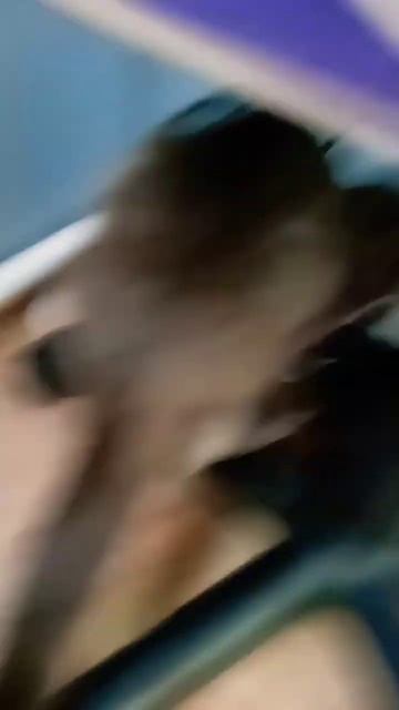 Тишуня #кот #ест смотреть онлайн