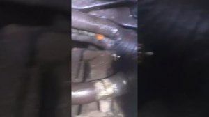 Опель Вектра Б. Двигатель - X16XEL   Об. 1,6.  16 -кл. Дроссель, ?