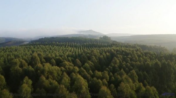 Эта дорога ведёт к месту, где начинается ваша история! - DistortedLove -- Makaih Beats -- DistortedL