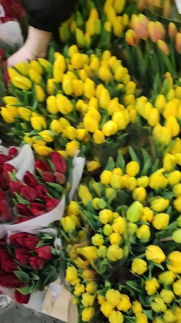 с праздником 8 марта Лента #красота 😍💓 смотреть онлайн