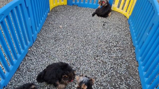 1000065141.mp4 смотреть онлайн