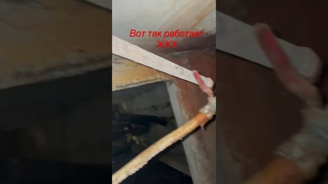 #жкх #подвал #вода #затопление #деревня #комуналка смотреть онлайн