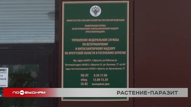 В двух районах Прибайкалья введён карантинный режим и смотреть онлайн