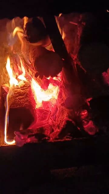 топим баню. 13 августа 2024 г. смотреть онлайн