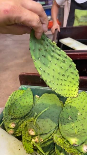 Овощ Мексики - Кактус 🌵 смотреть онлайн