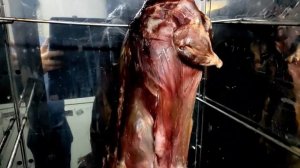 Готовлю бобра горячим копчением. Мясо как ветчина, соч