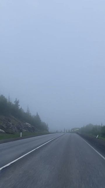 В тумане есть что-то мистическое🧟♀️🌫 #fog #horror #natureph смотреть онлайн