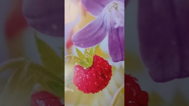 Слова из Сердца 💗 Бога. Духовный винегрет.