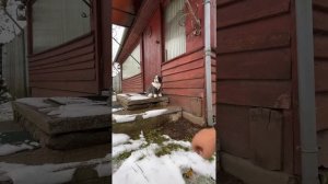 Абиссинская скважина зимой. Правила использования в з