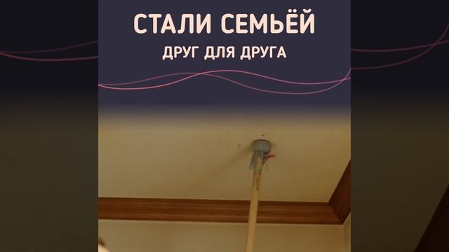 Семя  по выбору #дорама