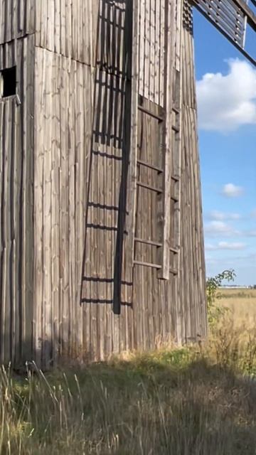 Завезли зерно но они не работают.Старые мельницы смотреть онлайн