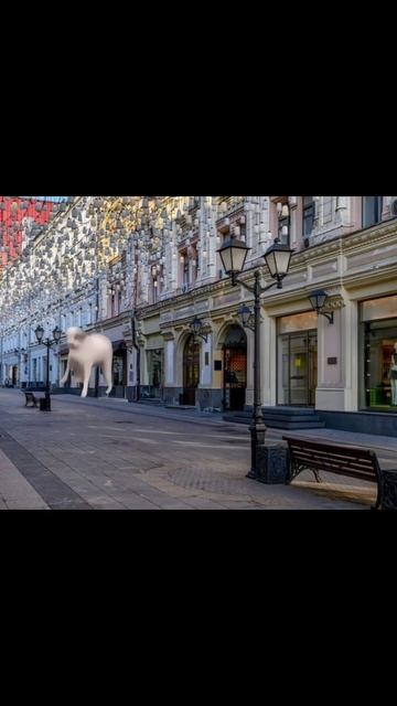 это ведь и есть ручки. #рекомендации #мем #мемы #meme #funny #? смотреть онлайн