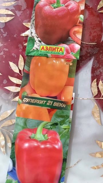 Рассада сладкого перца🫑