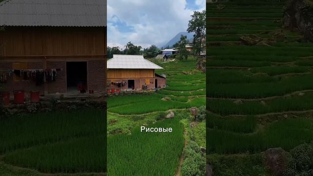 Что посмотреть во Вьетнаме? На моем канале есть видео ? смотреть онлайн