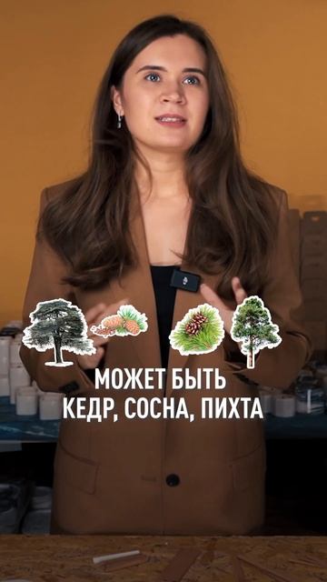 Какой сорт дерева лучше подходит для деревянных фитил смотреть онлайн
