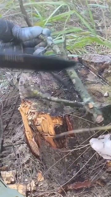 Туристический нож Gerber STRONGARM смотреть онлайн