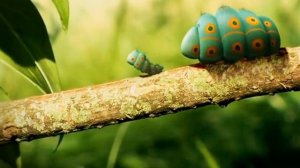 Букашки. Прикольный мультик. 1 сезон 3 серия