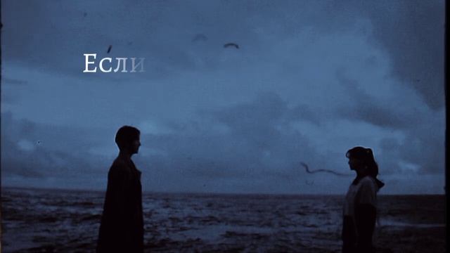 Если любишь (ТЕКСТ ПЕСНИ) - Sadraddin