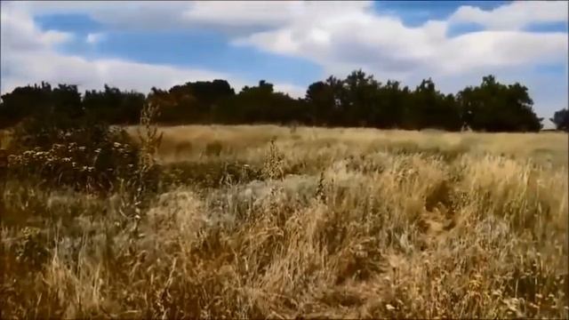 ГОЛОСИ ПРАЩУРІВ з БАШМАЧКИ ЗАКЛИКАЮТЬ ДО ЄДНОСТІ ( СІ? смотреть онлайн
