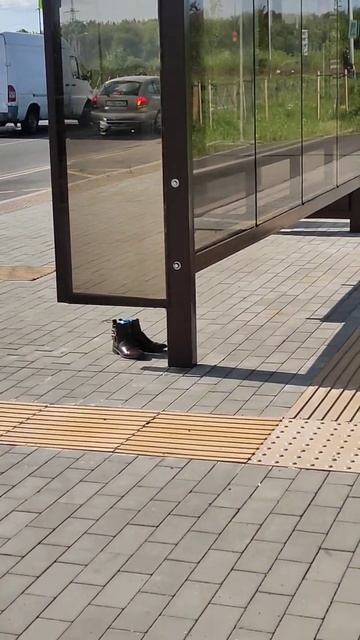 Удивительное рядом.Башмачки Гингемы в черте города.😅 смотреть онлайн