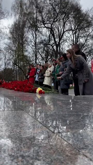 Возложение цветов командой ВоГУ смотреть онлайн