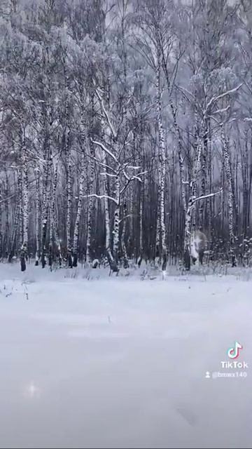 снежные березы смотреть онлайн