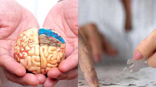 Способы борьбы с болезнью Альцгеймера смотреть онлайн