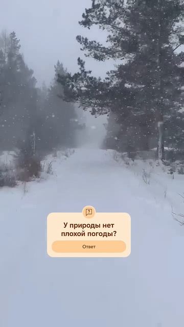 #зима #снегопад #погода #слова#цитаты #прогноз #мечтысб? смотреть онлайн